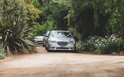2016 Silver Chrysler Sedans