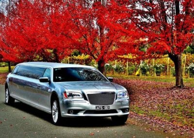 Melbourne Silver Chrysler Limo Hire (2)