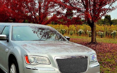 Pyrenees Victoria Winery Limo Tours – Wonderful Wine in a Beautiful Location