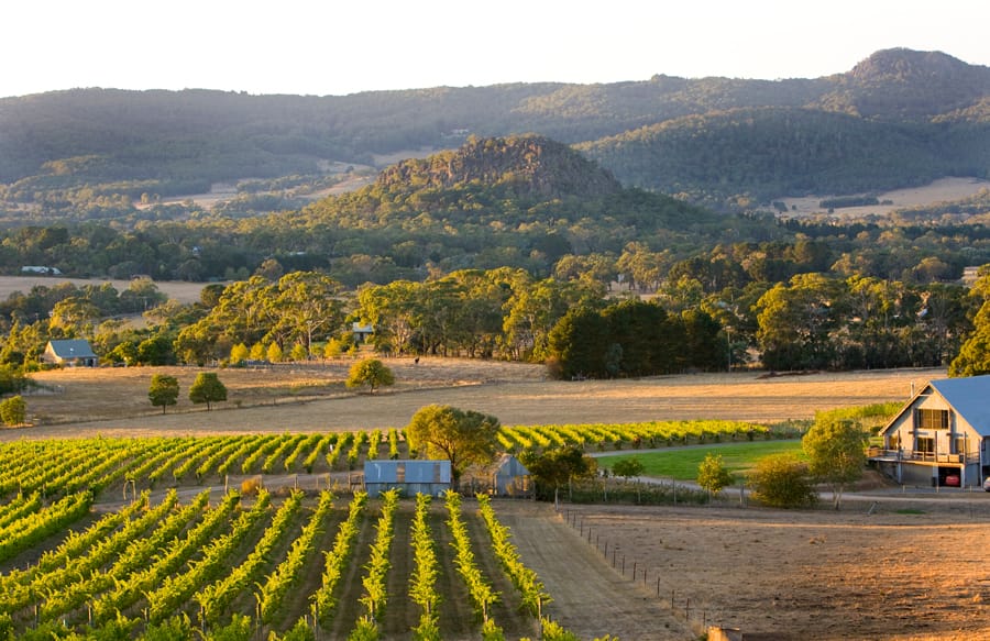 Macedon Ranges Winery Limo Tours