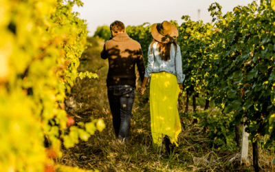 Limousine Winery Tours Around Melbourne